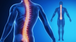 Beyond Adjustment: Exploring Additional Therapies Offered by Chatswood Chiropractors